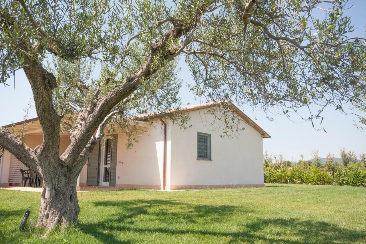Agriturismo Il Mirto Pescia Romana Exterior foto