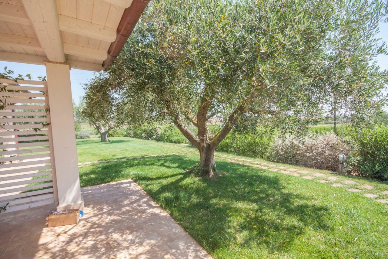Agriturismo Il Mirto Pescia Romana Habitación foto